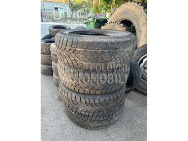 Platin Germany 235/65 R17 Zimska