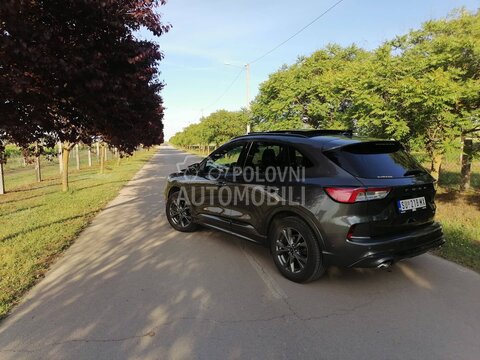Ford Kuga 2.5 ST X HIBRID Pano