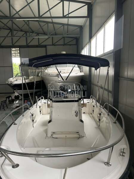 Boston whaler Dauntless 180