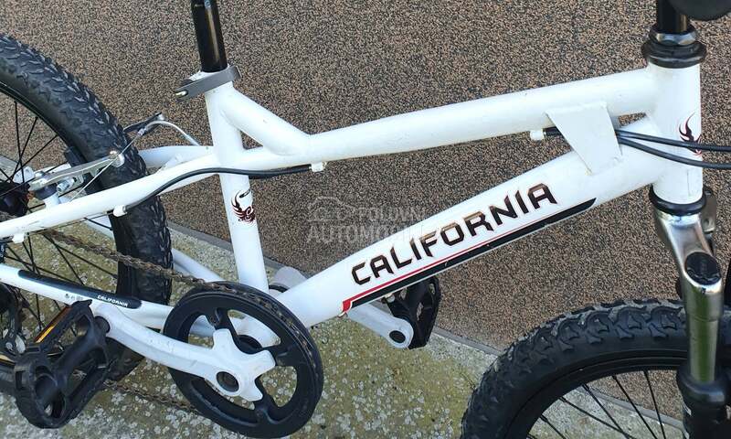 CALIFORNIA 20