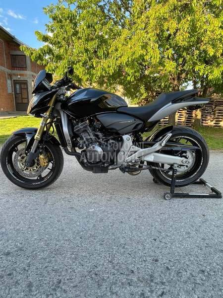 Honda hornet