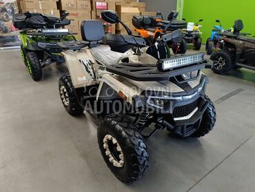 Tao Motor Shark III 200 KREM