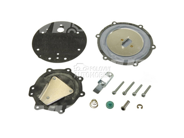 Set za reparaciju isparivaca IMPCO COBRA