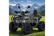 Kayo Elektro BUGGY 300ePOKLONA