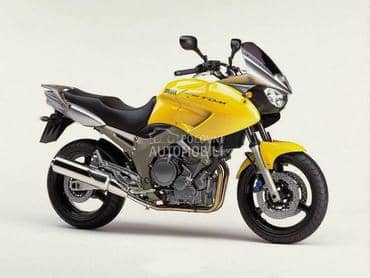 Yamaha TDM900 , 2002 god.