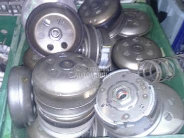 kvacila skarabeo,leonardo