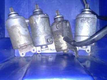 alnaseri za leonarda,skarabea