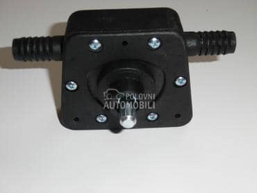 Pumpa na busilicu crna poljska