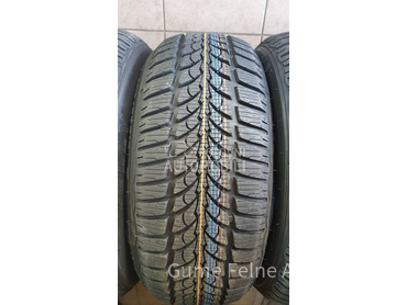 Fortuna 205/55 R17 Zimska