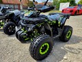 Tao Motor Shark 125 poklon 300eur