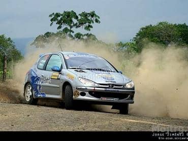 Delovi za Peugeot 206