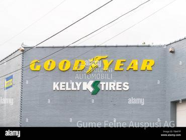 Kelly 195/65 R15 Letnja