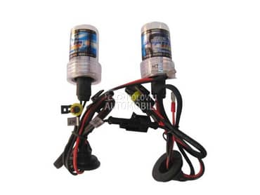 XENON Sijalice H1 par