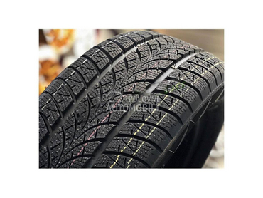 Triangle 195/55 R20 Zimska