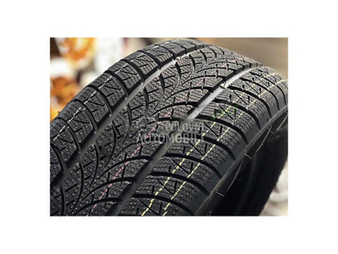 Triangle 195/55 R20 Zimska